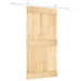 Ușă glisantă Natural și Alb 100 x 210 cm Lemn de Pin Solid - WALTI WALTI
