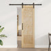 Ușă glisantă natural 61 x 198,5 cm Lemn masiv de pin - WALTI WALTI
