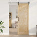 Ușă glisantă natural 83 x 232 cm Lemn masiv de pin - WALTI WALTI