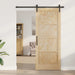 Ușă glisantă natural 86 x 211 cm Lemn masiv de pin - WALTI WALTI