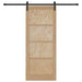 Ușă glisantă natural 86 x 211 cm Lemn masiv de pin - WALTI WALTI
