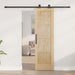 Ușă glisantă ORKDAL natural 61 x 198,5 cm Lemn masiv de pin - WALTI WALTI