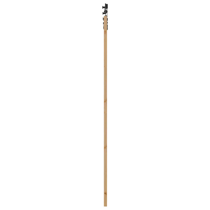 Ușă glisantă Natural și Negru 83 x 232 cm Lemn masiv de pin - WALTI WALTI