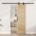 Ușă glisantă ORKDAL natural 61 x 198,5 cm Lemn masiv de pin - WALTI WALTI