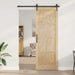 Ușă glisantă ORKDAL natural 83 x 232 cm Lemn masiv de pin - WALTI WALTI