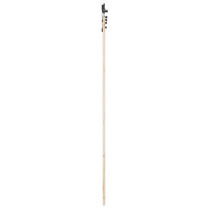 Ușă glisantă natural 90 x 208 cm Lemn masiv de pin WALTI