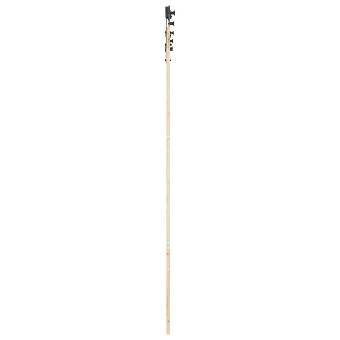 Ușă glisantă natural 90 x 208 cm Lemn masiv de pin WALTI