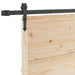 Ușă glisantă natural 80 x 208 cm Lemn masiv de pin - WALTI WALTI