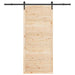 Ușă glisantă natural 80 x 208 cm Lemn masiv de pin - WALTI WALTI