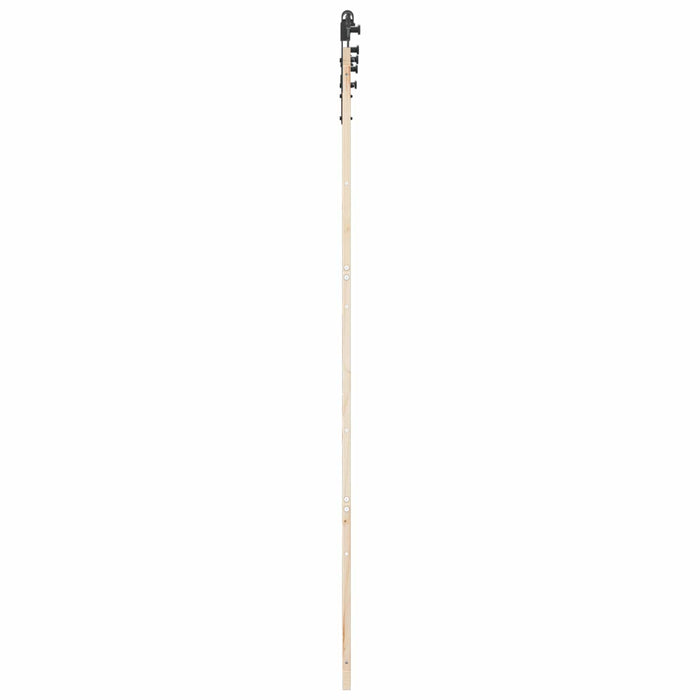 Ușă glisantă natural 90 x 208 cm Lemn masiv de pin WALTI