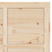 Ușă glisantă natural 100 x 208 cm Lemn masiv de pin - WALTI WALTI