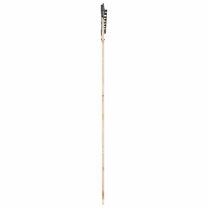 Ușă glisantă natural 90 x 208 cm Lemn masiv de pin WALTI