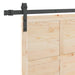 Ușă glisantă natural 90 x 208 cm Lemn masiv de pin - WALTI WALTI