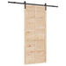 Ușă glisantă natural 90 x 208 cm Lemn masiv de pin - WALTI WALTI