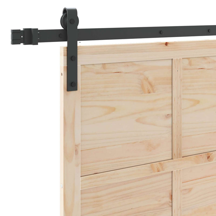 Ușă glisantă natural 80 x 208 cm Lemn masiv de pin - WALTI WALTI