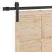 Ușă glisantă natural 80 x 208 cm Lemn masiv de pin - WALTI WALTI