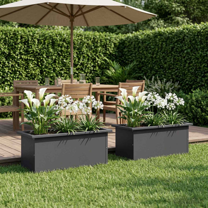 Jardinieră de grădină cu LED 2 buc. Negru 30 x 60 x 30 cm Oțel - WALTI WALTI