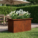 Jardinieră de grădină cu LED Ruginit 30 x 60 x 30 cm - WALTI WALTI