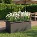 Jardinieră de grădină cu LED Negru 30 x 80 x 30 cm Oțel - WALTI WALTI