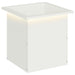 Jardinieră de grădină cu LED Alb 40 x 40 x 40 cm Oțel - WALTI WALTI
