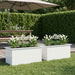 Jardinieră de grădină cu LED 2 buc. Alb 40 x 80 x 40 cm Oțel - WALTI WALTI