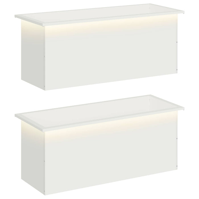 Jardinieră de grădină cu LED 2 buc. Alb 40 x 100 x 40 cm Oțel - WALTI WALTI