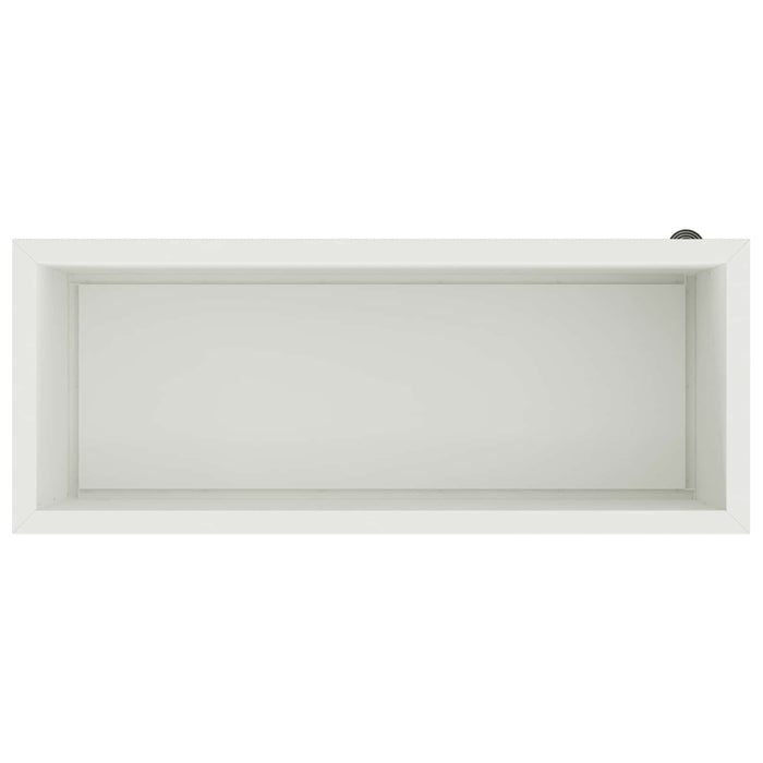 Jardinieră de grădină cu LED 2 buc. Alb 40 x 100 x 40 cm Oțel - WALTI WALTI