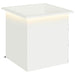 Jardinieră de grădină cu LED Alb 50 x 50 x 48 cm Oțel - WALTI WALTI