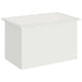 Jardinieră de grădină cu LED Alb 50 x 80 x 48 cm Oțel - WALTI WALTI