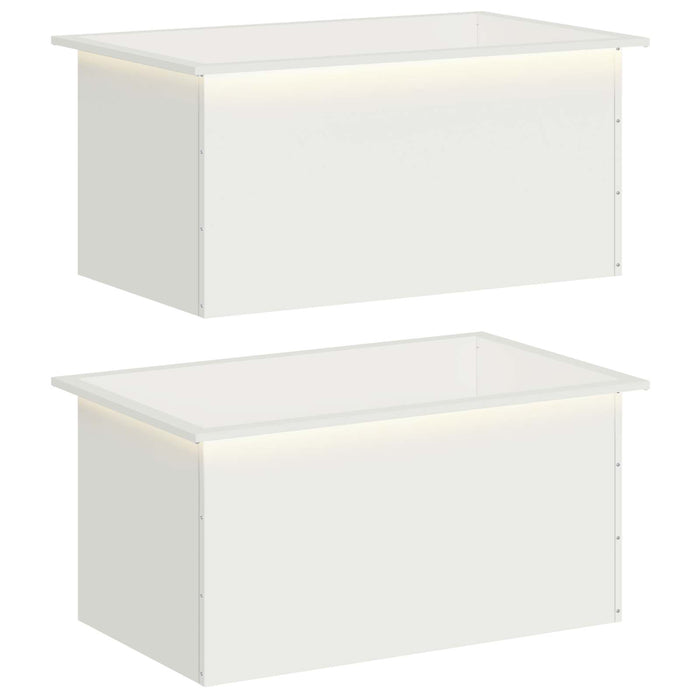 Jardinieră de grădină cu LED 2 buc. Alb 50 x 80 x 48 cm Oțel - WALTI WALTI