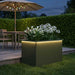 Jardinieră de grădină cu LED Verde măsliniu 50 x 80 x 48 cm - WALTI WALTI