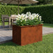 Jardinieră de grădină cu LED Ruginit 50 x 80 x 48 cm - WALTI WALTI