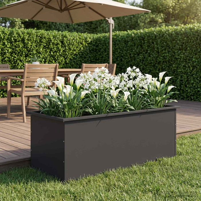 Jardinieră de grădină cu LED Negru 50 x 100 x 48 cm Oțel - WALTI WALTI