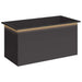 Jardinieră de grădină cu LED Negru 50 x 100 x 48 cm Oțel - WALTI WALTI