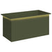 Jardinieră de grădină cu LED Verde măsliniu 50 x 100 x 48 cm - WALTI WALTI
