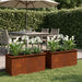 Jardinieră de grădină cu LED 2 buc. Ruginit 50 x 100 x 48 cm - WALTI WALTI