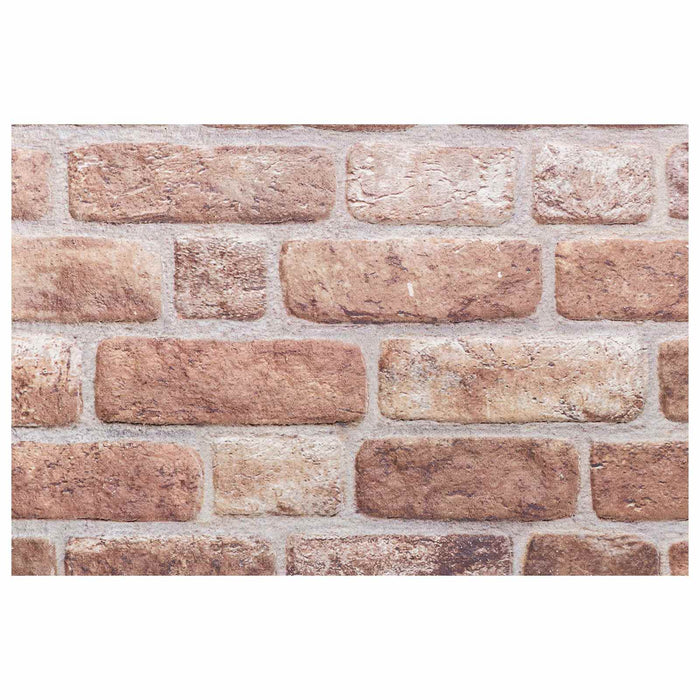 Panouri de perete 10 pcs Maro 100 x 50 cm Spumă EPS - WALTI WALTI