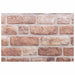 Panouri de perete 10 pcs Maro 100 x 50 cm Spumă EPS - WALTI WALTI