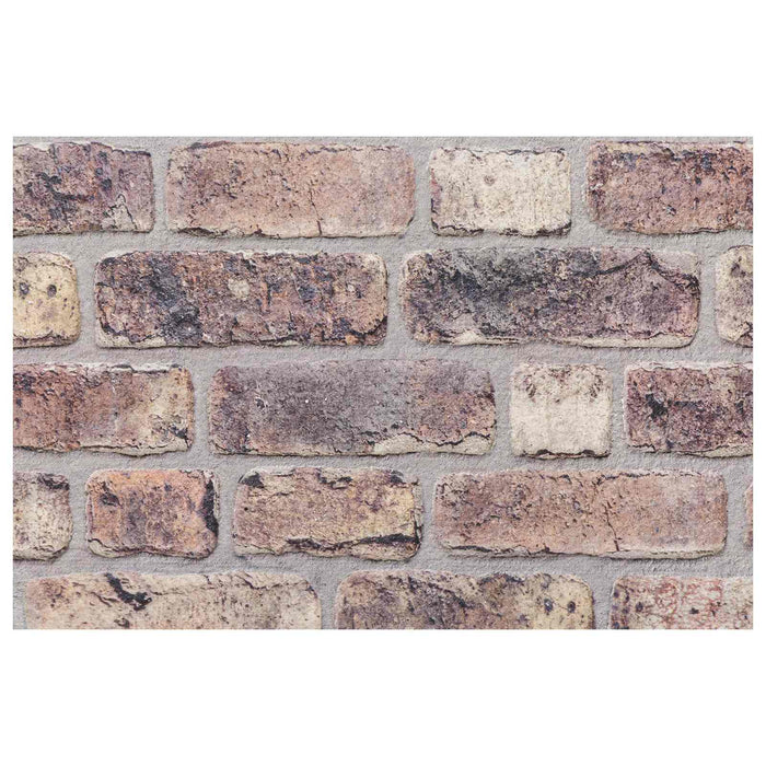 Panouri de perete 10 pcs Maro închis 100 x 50 cm Spumă EPS - WALTI WALTI
