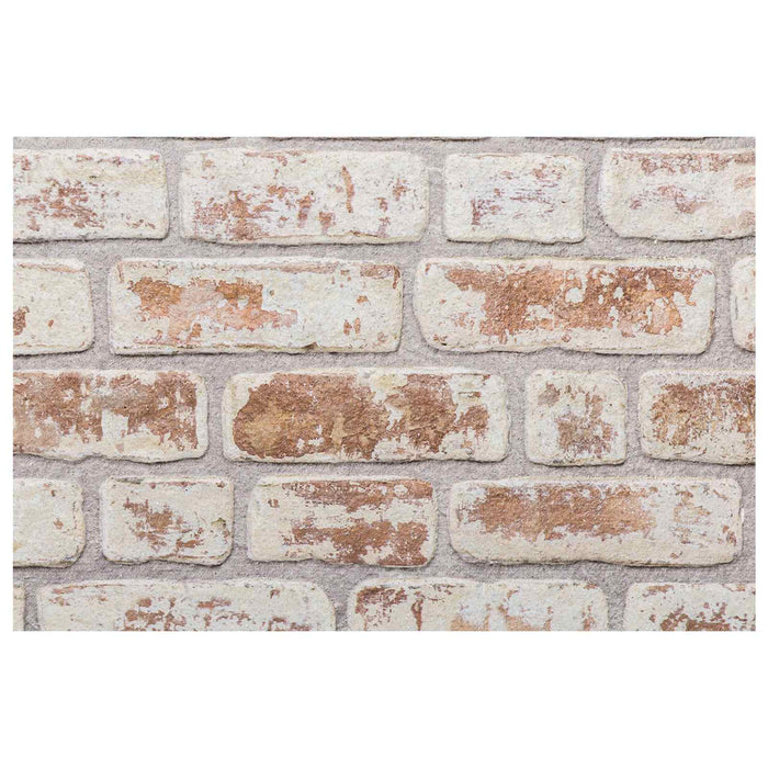 Panouri de perete 10 pcs Roșu și Alb 100 x 50 cm Spumă EPS - WALTI WALTI