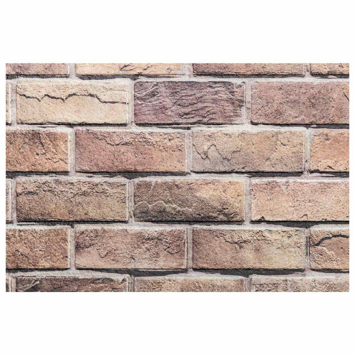 Panouri de perete 10 pcs Maro și gri 100 x 50 cm Spumă EPS - WALTI WALTI