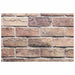 Panouri de perete 10 pcs Maro și gri 100 x 50 cm Spumă EPS - WALTI WALTI