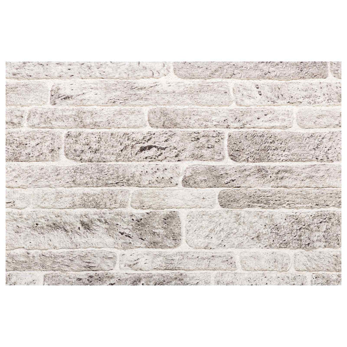 Panouri de perete 10 pcs Gri deschis și alb. 100 x 50 cm - WALTI WALTI