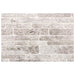 Panouri de perete 10 pcs Gri deschis și alb. 100 x 50 cm - WALTI WALTI