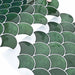 Plăcuță cu motive de solzi de pește 50 pcs Verde închis - WALTI WALTI