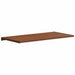 Prag de fereastră Lemn brun 100 x 40 x 4,5 cm PVC - WALTI WALTI