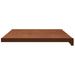 Prag de fereastră Lemn brun 100 x 45 x 4,5 cm PVC - WALTI WALTI