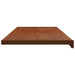Prag de fereastră Lemn brun 160 x 45 x 4,5 cm PVC - WALTI WALTI