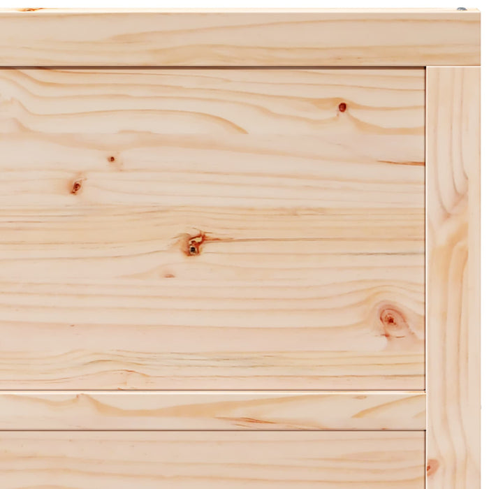 Ușă hambar natural 90 x 2,5 x 208 cm Lemn masiv de pin - WALTI WALTI