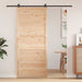 Ușă hambar natural 90 x 2,5 x 208 cm Lemn masiv de pin - WALTI WALTI